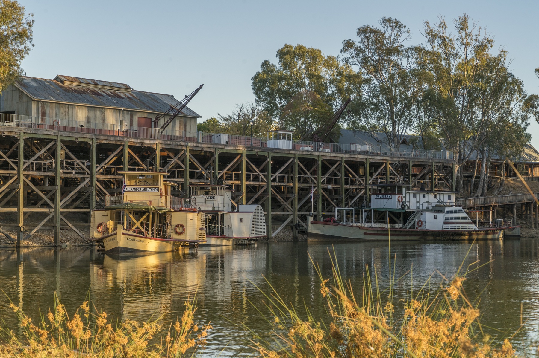 Echuca - VIC RVFT